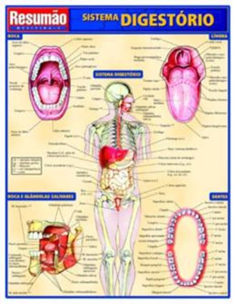 Picture of RESUMAO - SISTEMA DIGESTORIO