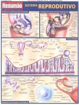 Imagem de RESUMAO - SISTEMA REPRODUTIVO - 3ª ED.