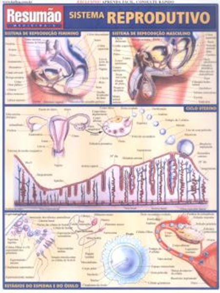 Picture of RESUMAO - SISTEMA REPRODUTIVO - 3ª ED.