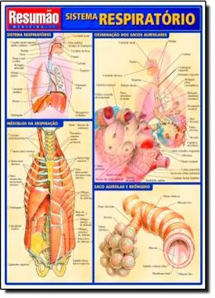 Picture of RESUMAO - SISTEMA RESPIRATORIO
