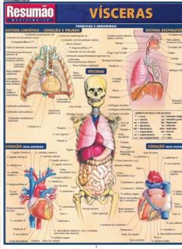 Imagem de RESUMAO - VISCERAS - 2ª ED.