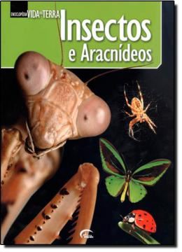 Imagem de INSECTOS E ARACNIDEOS