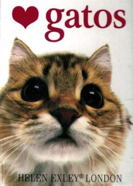 Picture of AMO GATOS