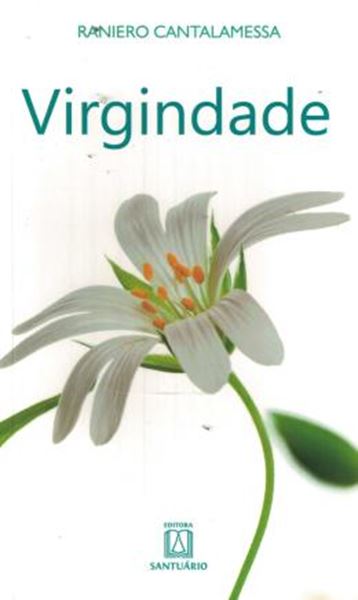 Picture of VIRGINDADE