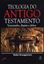 Imagem de TEOLOGIA DO ANTIGO TESTAMENTO - TESTEMUNHO, DISPUTA E DEFESA
