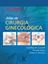Imagem de ATLAS DE CIRURGIA GINECOLOGICA