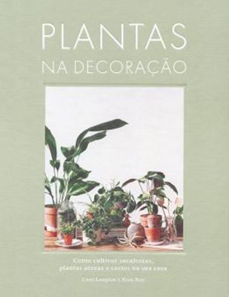 Picture of PLANTAS NA DECORACAO