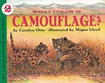 Imagem de WHAT COLOR IS CAMOUFLAGE?