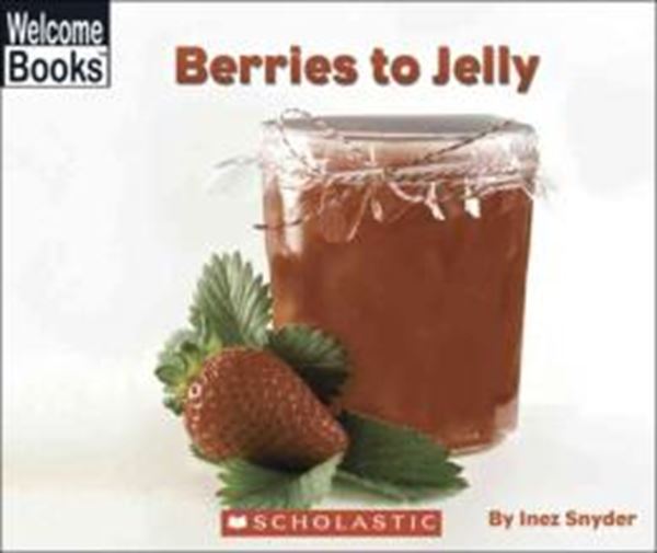 Picture of BERRIES TO JELLY