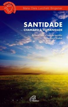 Imagem de SANTIDADE - CHAMADO A HUMANIDADE - REFLEXOES SOBE A EXORTACAO APOSTOLICA GAUDETE ET EXSULTATE