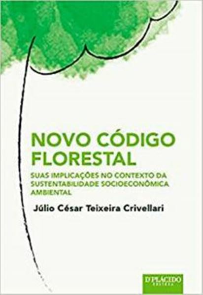 Picture of TEORIA DAS INCAPACIDADES E O ESTATUTO DA PESSOA COM DEFICIENCIA - 2ª ED, A