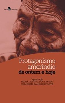 Imagem de PROTAGONISMO AMERINDIO DE ONTEM E HOJE