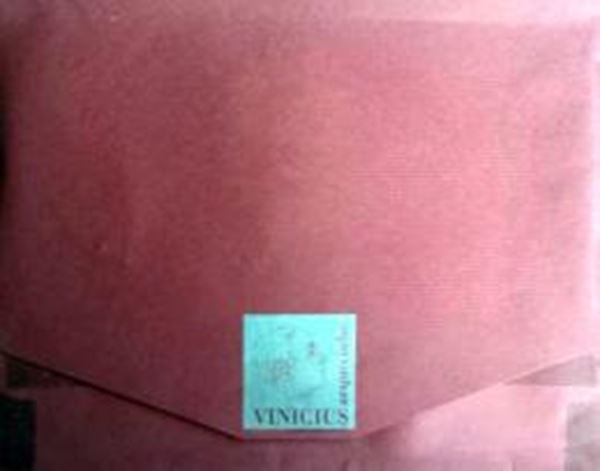 Picture of VINICIUS UM ARQUIVINHO DO POETA