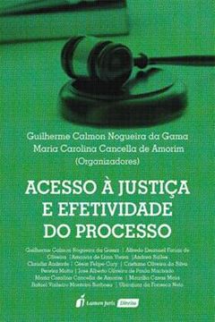 Imagem de ACESSO A JUSTICA E EFETIVIDADE DO PROCESSO