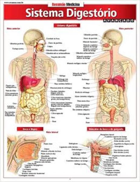 Picture of RESUMAO - SISTEMA DIGESTORIO AVANCADO
