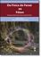 Imagem de DA FISICA DO FARAO AO FOTON - PERCEPCOES, EXPERIMENTOS E DEMOSNTRACOES DE FISICA