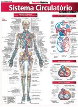 Imagem de RESUMAO - SISTEMA CIRCULATORIO AVANCADO