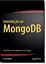 Imagem de INTRODUCAO AO MONGO DB