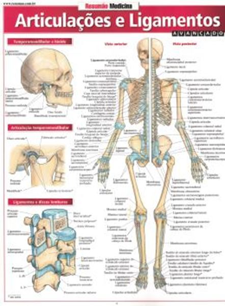 Picture of RESUMAO - ARTICULACAO E LIGAMENTOS - AVANCADO