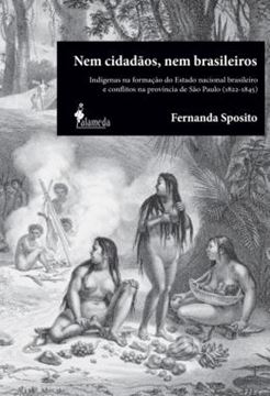 Imagem de NEM CIDADAOS, NEM BRASILEIROS - INDIGENAS NA FORMACAO DO ESTADO NACIONAL BRASILEIRO E CONFLITOS NA PROVINCIA DE SAO PAULO (1822-1845)