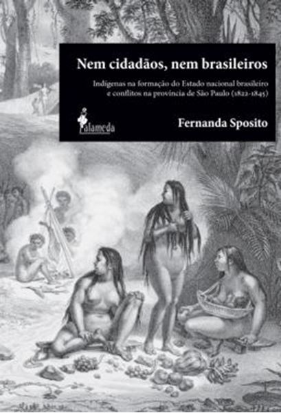 Picture of NEM CIDADAOS, NEM BRASILEIROS - INDIGENAS NA FORMACAO DO ESTADO NACIONAL BRASILEIRO E CONFLITOS NA PROVINCIA DE SAO PAULO (1822-1845)
