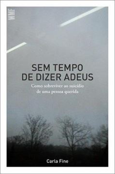 Imagem de SEM TEMPO DE DIZER ADEUS