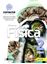 Imagem de CONECTE - FISICA - VOL. 2 - 3ª ED.