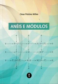 Imagem de ANEIS E MODULOS