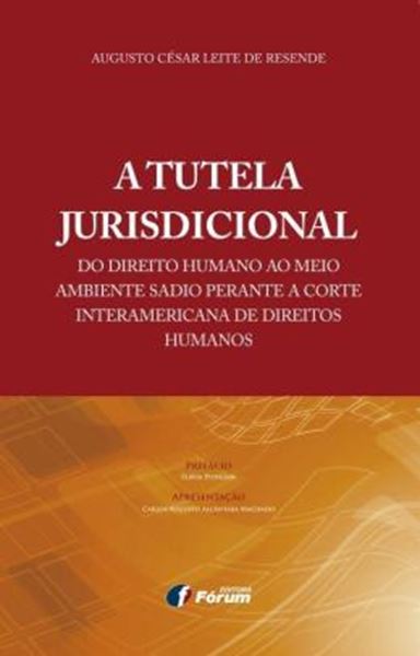 Picture of A TUTELA JURISDICIONAL DO DIREITO HUMANO