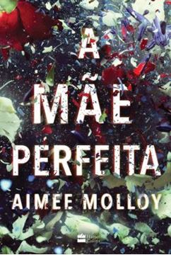 Imagem de A MAE PERFEITA