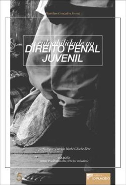 Picture of A CULPABILIDADE NO DIREITO PENAL JUVENIL