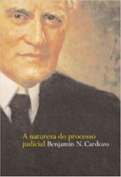 Picture of A NATUREZA DO PROCESSO JUDICIAL