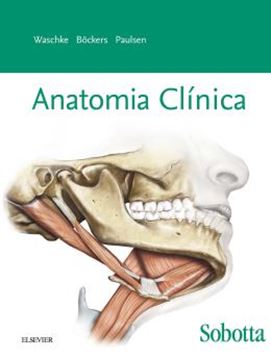 Imagem de SOBOTTA ANATOMIA CLINICA
