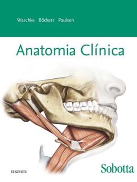 Picture of SOBOTTA ANATOMIA CLINICA