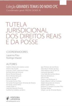 Imagem de TUTELA JURISDICIONAL DOS DIREITOS REAIS E DA POSSE