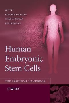 Imagem de HUMAN EMBRYONIC STEM CELLS