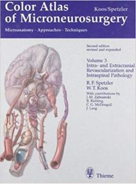 Imagem de COLOR ATLAS OF MICRONEUROSURGERY - 2ND ED