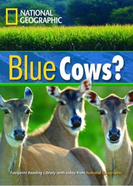 Picture of BLUE COWS? - BRITISH ENGLISH - LEVEL 4 - 1600 B1
