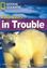 Imagem de POLAR BEARS IN TROUBLE - BRITISH ENGLISH - LEVEL 6 - 2200 B2