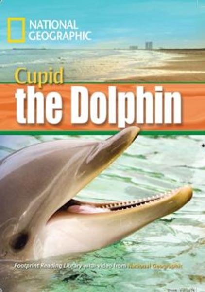 Picture of CUPID THE DOLPHIN - WITH MULTI-ROM - AMERICAN ENGLISH - LEVEL 4 - 1600 B1