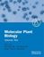 Imagem de MOLECULAR PLANT BIOLOGY - A PRACTICAL APPROACH - VOL. 2