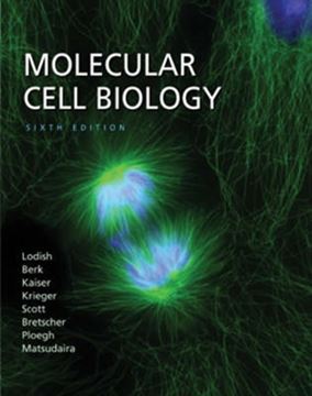 Imagem de MOLECULAR CELL BIOLOGY - 6TH EDITION