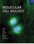 Imagem de MOLECULAR CELL BIOLOGY - 6TH EDITION