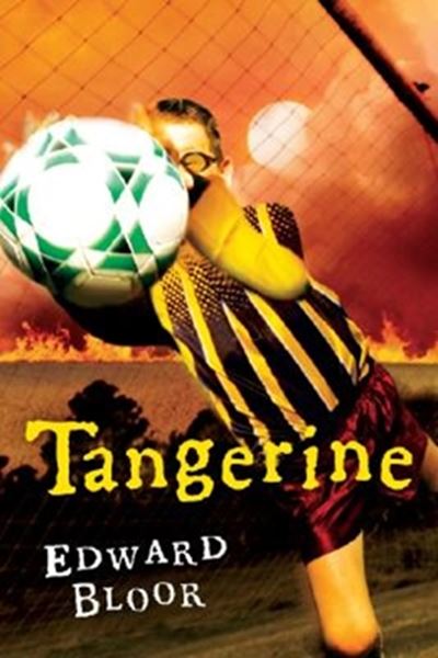 Picture of TANGERINE