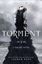 Imagem de TORMENT - A FALLEN NOVEL