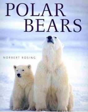 Imagem de POLAR BEARS 