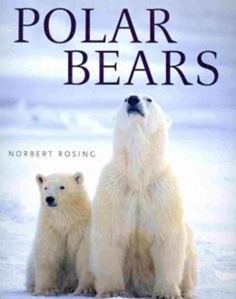 Picture of POLAR BEARS 