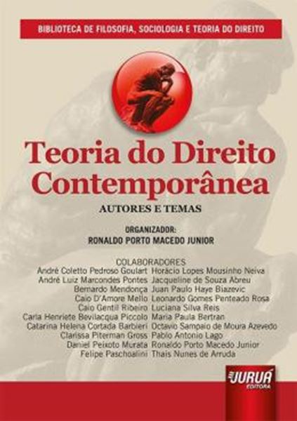 Picture of TEORIA DO DIREITO CONTEMPORANEA
