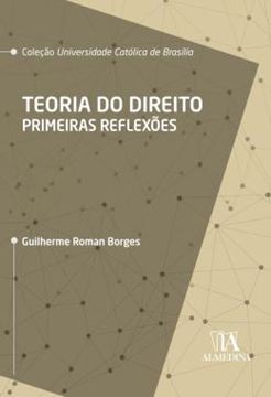 Imagem de TEORIA DO DIREITO - PRIMEIRAS REFLEXOES