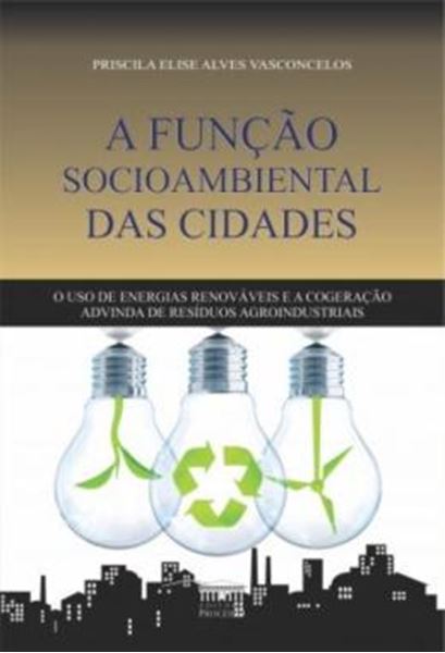 Picture of A FUNCAO SOCIOAMBIENTAL DAS CIDADES